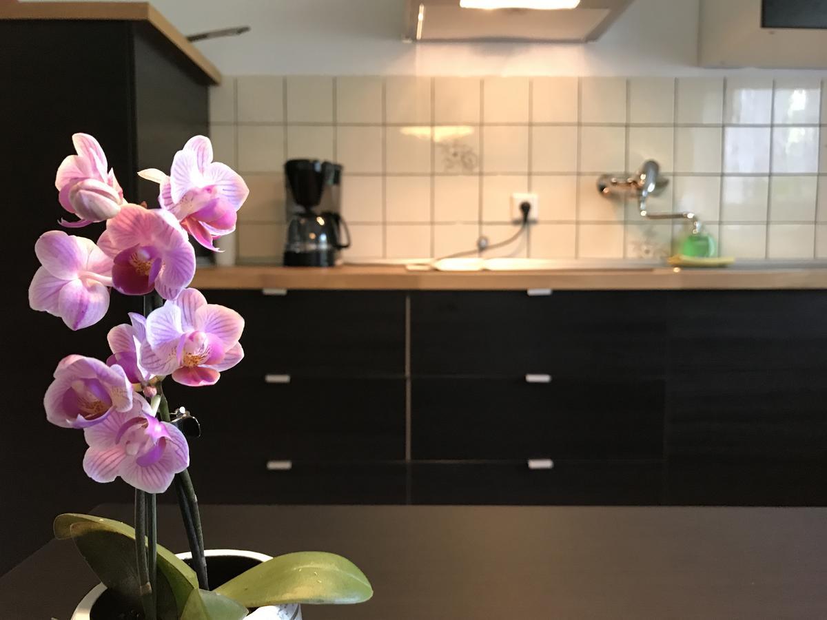 דורטמונד Apartmenthaus Marten מראה חיצוני תמונה