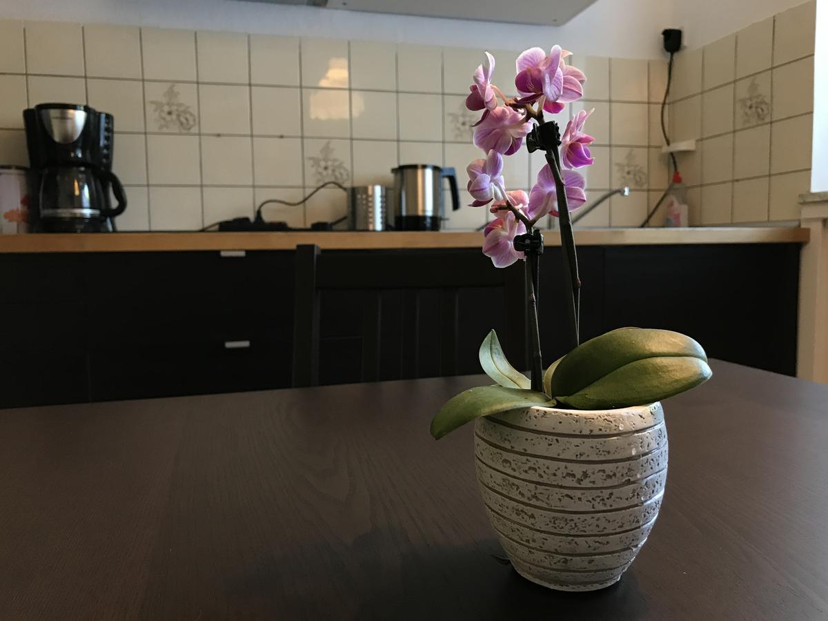 דורטמונד Apartmenthaus Marten מראה חיצוני תמונה