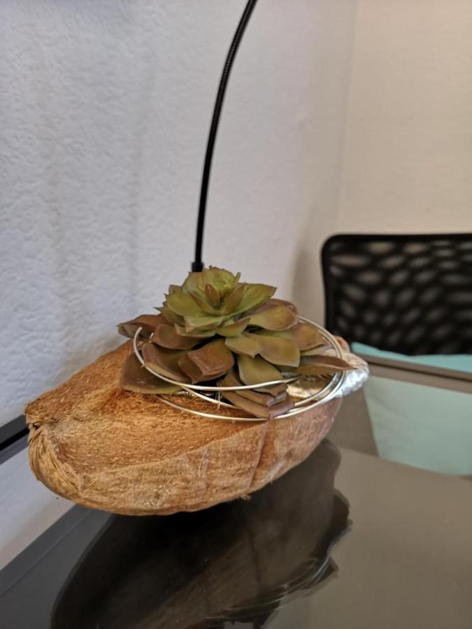 דורטמונד Apartmenthaus Marten מראה חיצוני תמונה